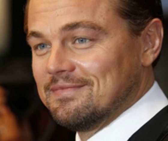 Леонардо Ди Каприо снял на ночь дом за $5000