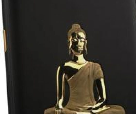 Feld &amp; Volk представили новую коллекцию iPhone 6