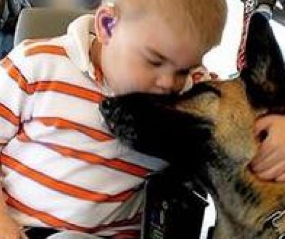 Ролики, которые заставили нас плакать