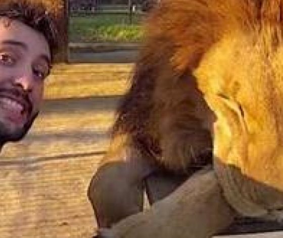 Селфи, которое заняло три года