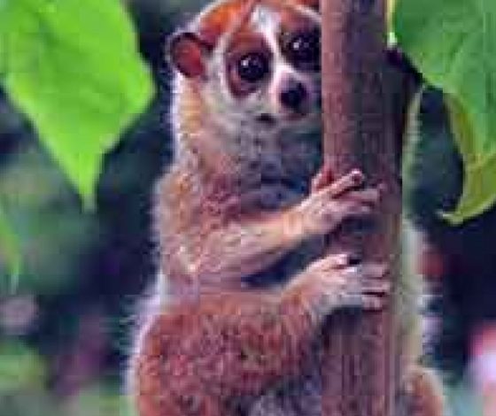 Этот ролик поднимет тебе аппетит за завтраком