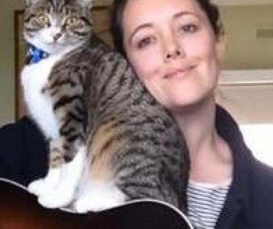 Самый музыкальный кот на свете