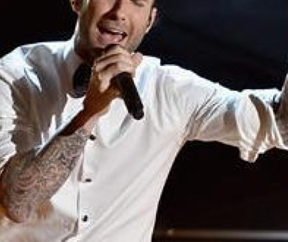 Адам Левин ударил поклонницу