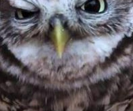 С этого видео должен начинаться рабочий день