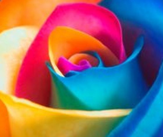 Что любимый цвет скажет о тебе