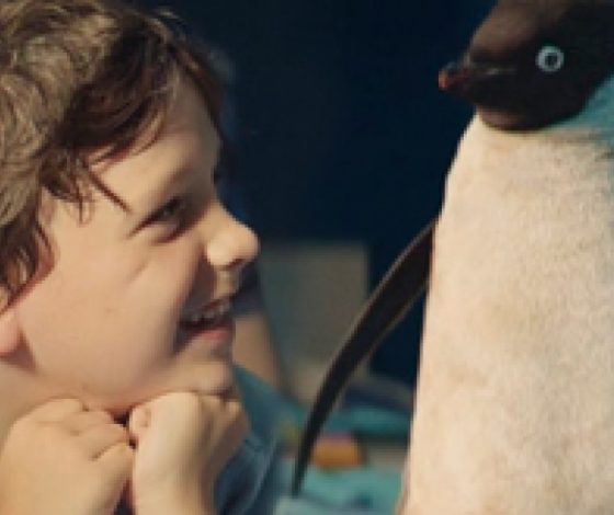 Трогательное видео о мальчике и пингвине