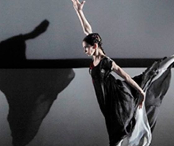 Невероятно красивый танец балерины