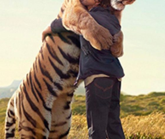 Как выглядит идеальное домашнее животное