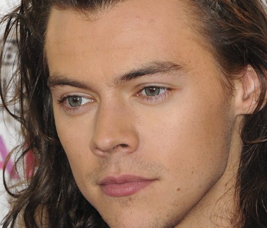 Гарри Стайлс получил свою первую роль в кино