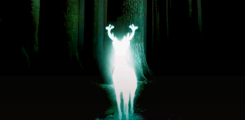 753a33d04e9365552674423da788ba3d