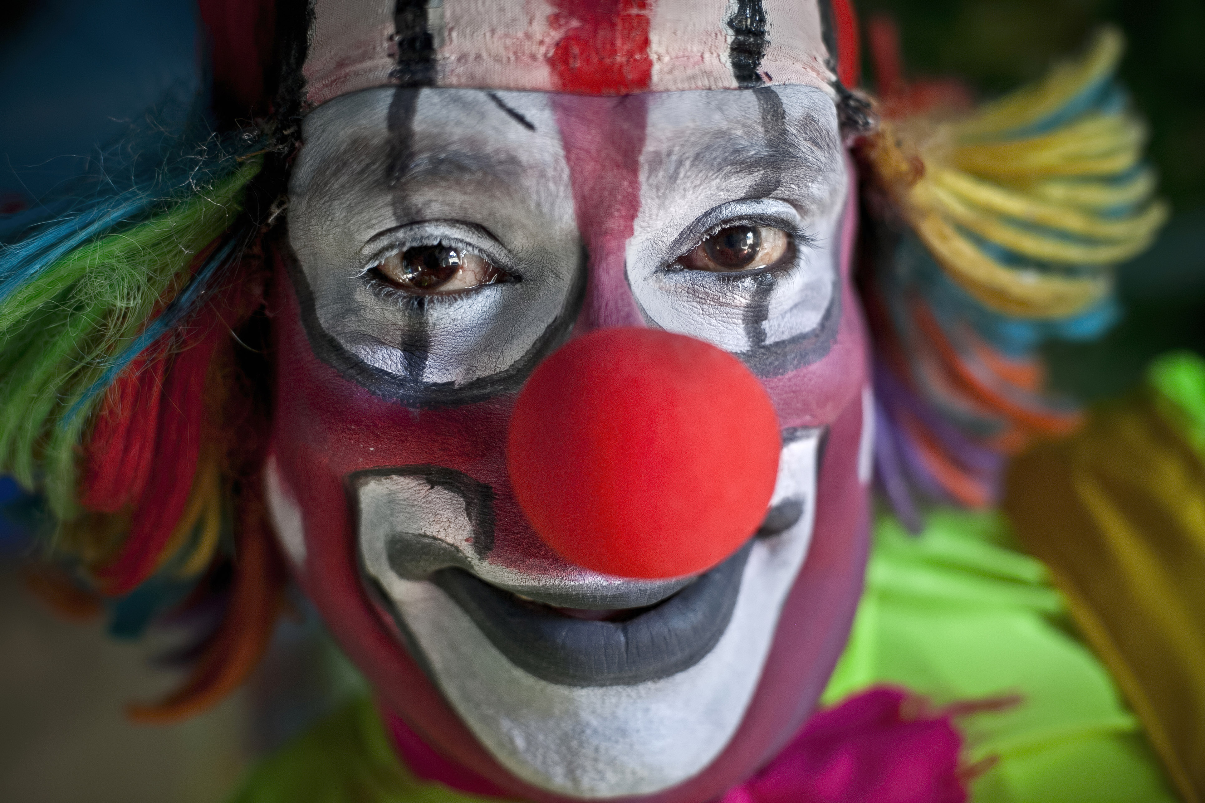 Животное клоун. Нортгемптонский клоун. Смешной клоун. Фото клоуна.