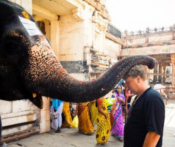 На них надо подписаться: главный режиссер Comedy Club Production