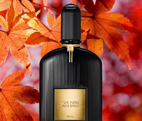 Лучшие ароматы для осени