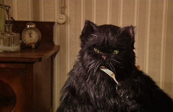 Кастинг котов! Может, именно твой любимец станет котом Бегемотом