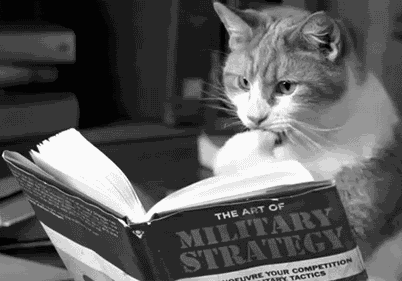 tumblr_n0mvtm953V1tr3timo1_500