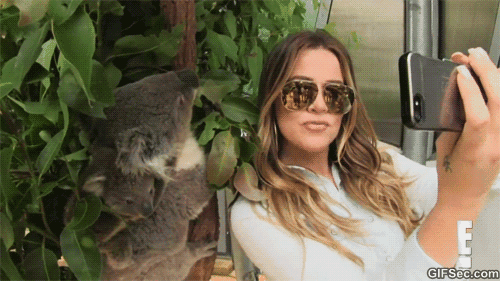 635902102092712415993786053_Selfies-GIFS