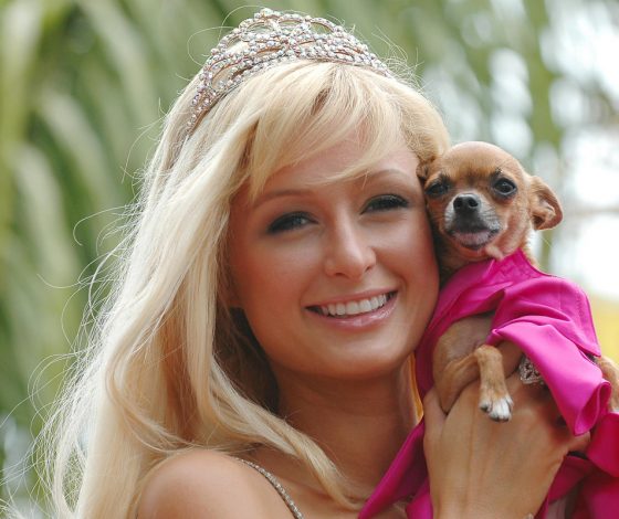 На что Пэрис Хилтон потратила $8 тыс.? Спойлер: это размером с чашку!