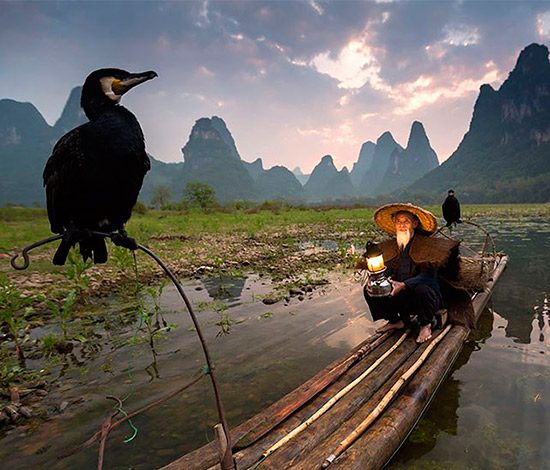 Топ-20 лучших фотографий 2015 года от National Geographic