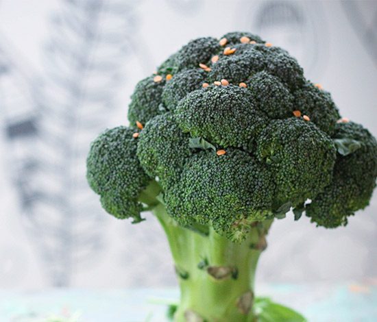 Рецепт: Суп «Зелёный Лес»