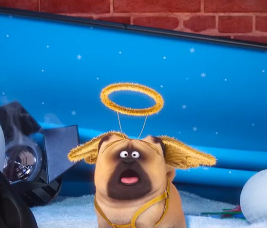 Тайная жизнь домашних животных: рождественский ролик