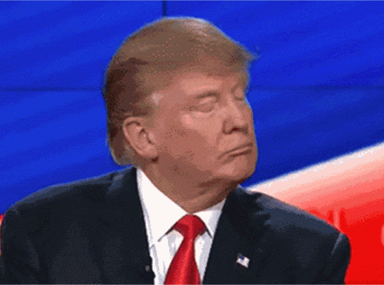 Господин президент! 10 фактов о Дональде Трампе