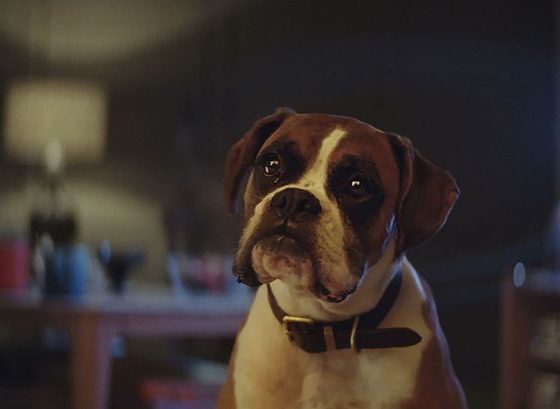 Готовимся к Новому году уже сейчас!