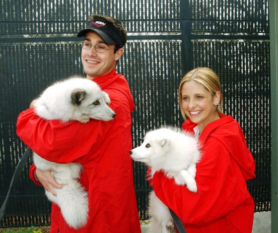 Какие милые Сара Мишель Геллар и Фредди Принц-младший!