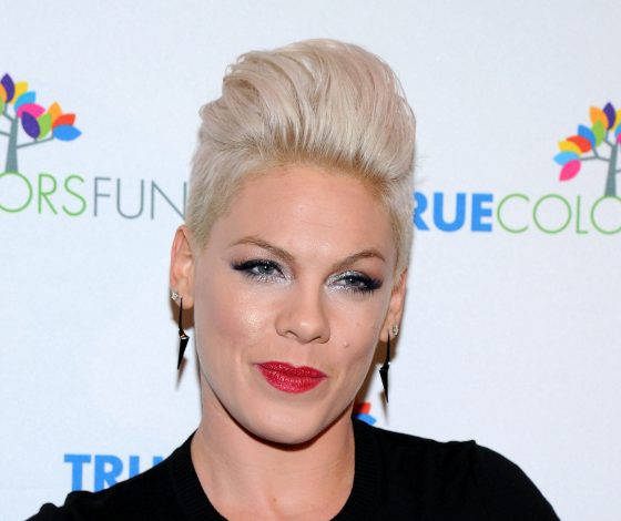 Беременная Пинк развеселила поклонников своим танцем на День Благодарения!