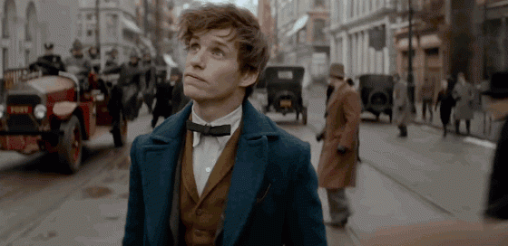 Цифра дня: сколько собрали «Фантастические твари» в прокате?