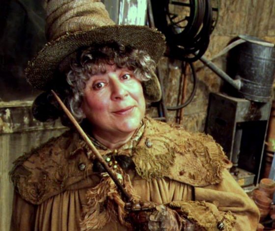 Скандал! Актриса из Гарри Поттера высмеяла евреев и афроамериканцев!