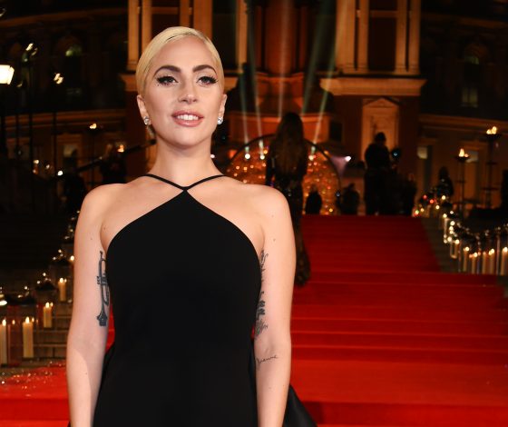 Леди Гага, Джиджи Хадид, Елена Перминова и другие звёзды на British Fashion Awards 2016