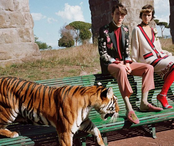 В мире животных: жираф, лев и тигр в рекламной кампании Gucci