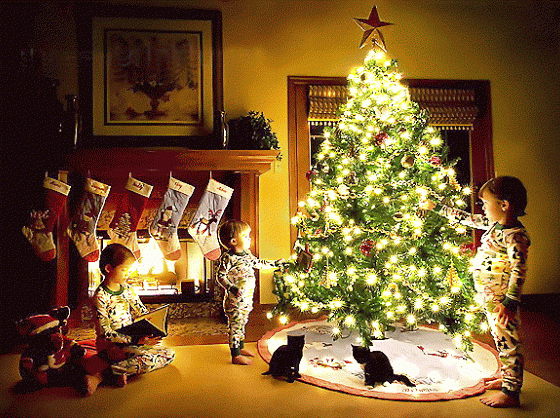 Как отпраздновать Рождество на Лазурном берегу?