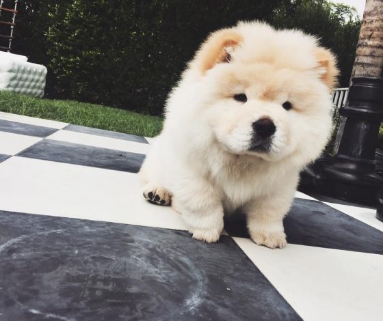 Джастин Бибер потерял друга. Или сам от него отказался?