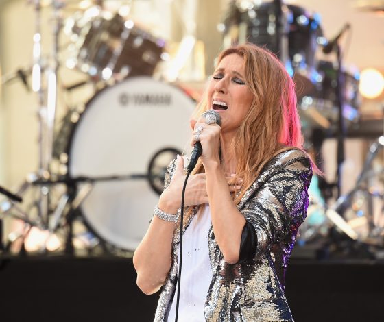 Селин Дион в шоке! Фанат сделал предложение своей девушке прямо перед певицей