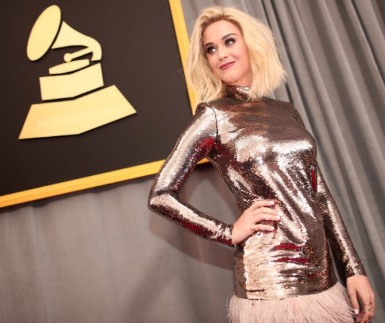 Новый протест: звезды придут на «Грэмми-2018» с белыми розами