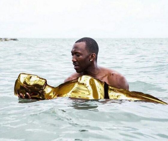 Заснувшая Крисси Тейген и другие мемы «Оскара-2017»