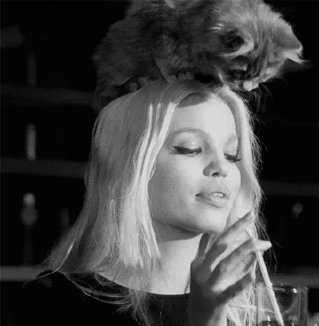 А ты хочешь себе духи с запахом котика?