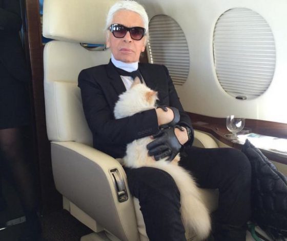 Инстаграм кошки Лагерфельда взломали: что случилось?