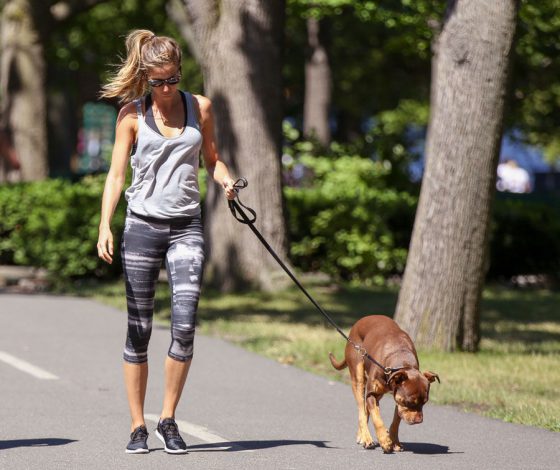 Мини-юбка или спортивный костюм: в чем голливудские звезды выгуливают питомцев?