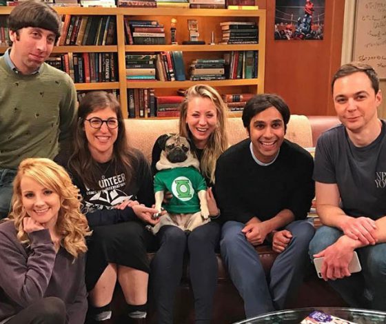 Самый популярный мопс Интернета станет звездой сериала «Теория большого взрыва»?