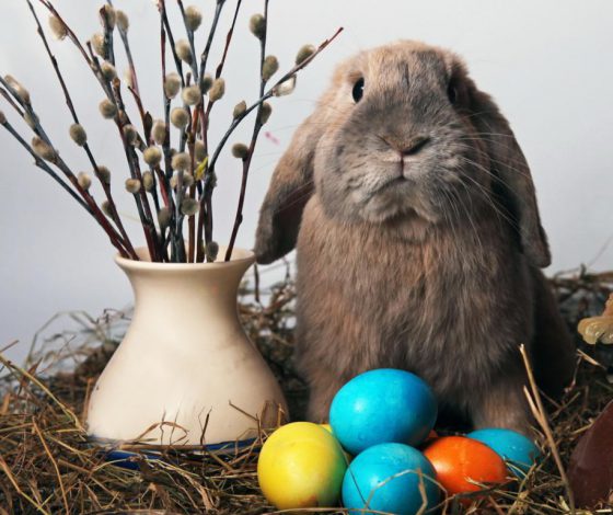 С праздником Светлой Пасхи!