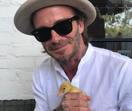 Как Бейонсе, Мадонна, Бекхэмы и другие звезды отпраздновали Пасху?