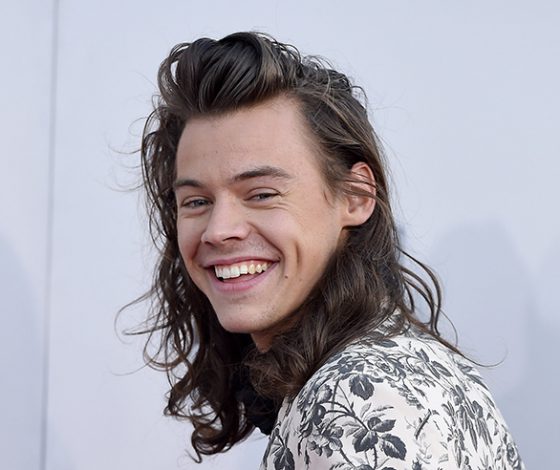 У Гарри Стайлса новая девушка, и она очень похожа на Тейлор Свифт!