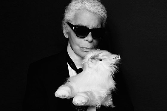 Карл Лагерфельд продает свою кошку за $545