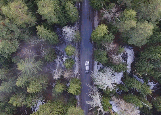 Почему новый клип Фараона надо смотреть без звука?