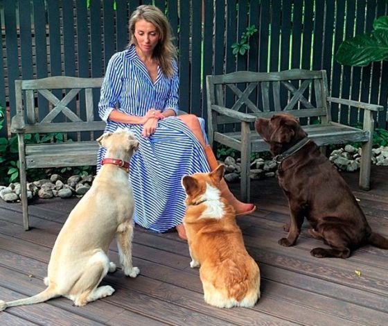 Российские звезды, которые взяли собак из приюта! Фото здесь