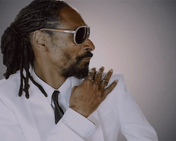 Снуп Догг в своём репертуаре: рэпер устроил модное шоу с барбекю, Кадиллаками и дорожными знаками