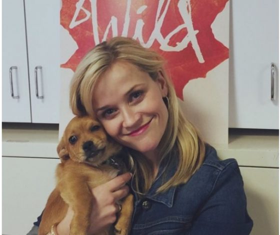 В международный день собак! 10 веселых фото знаменитостей с питомцами