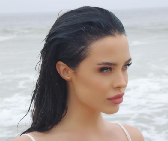 Самый известный двойник Анджелины Джоли: что мы знаем о модели?